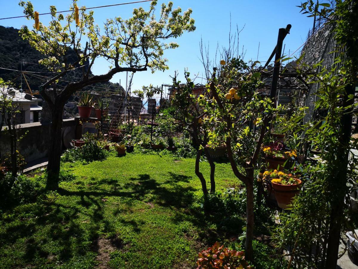 Il Nido Dei Gabbiani Villa ปอร์โตเวเนเร ภายนอก รูปภาพ